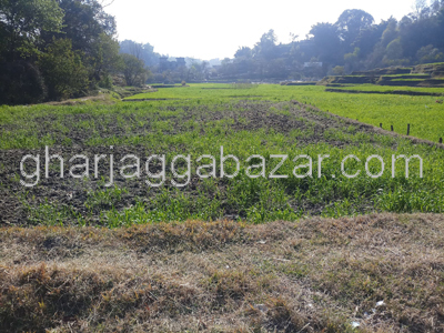Land on Sale at Jhaukhel
